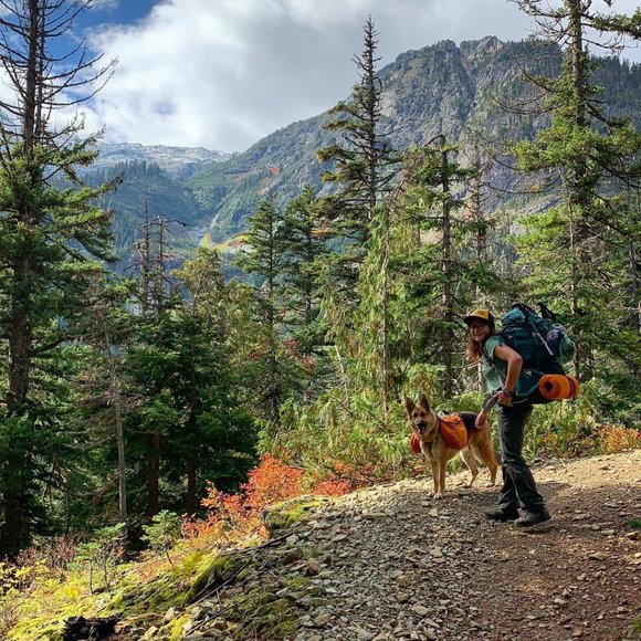 Meet your posher - Picture 2 of 7